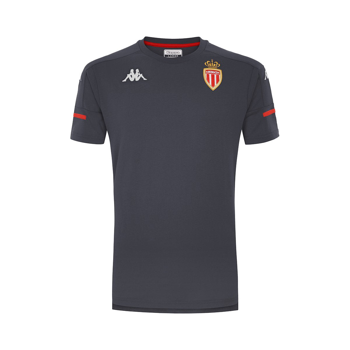 Camiseta Ayba 4 As Monaco Gris Hombre - Imagen 1