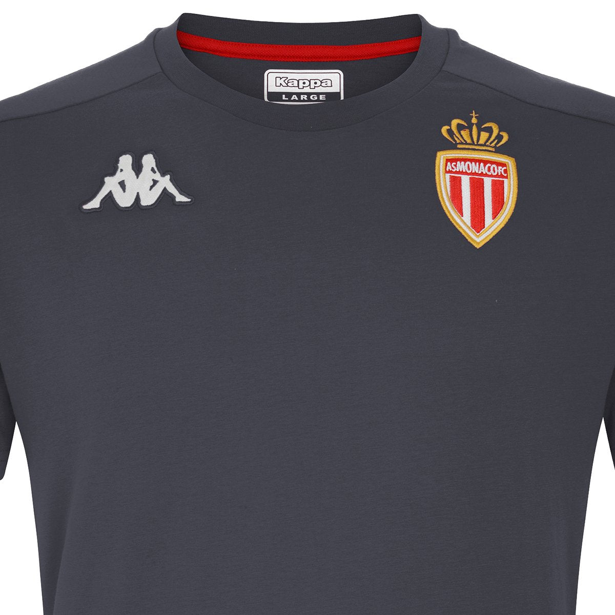Camiseta Ayba 4 As Monaco Gris Hombre - Imagen 4