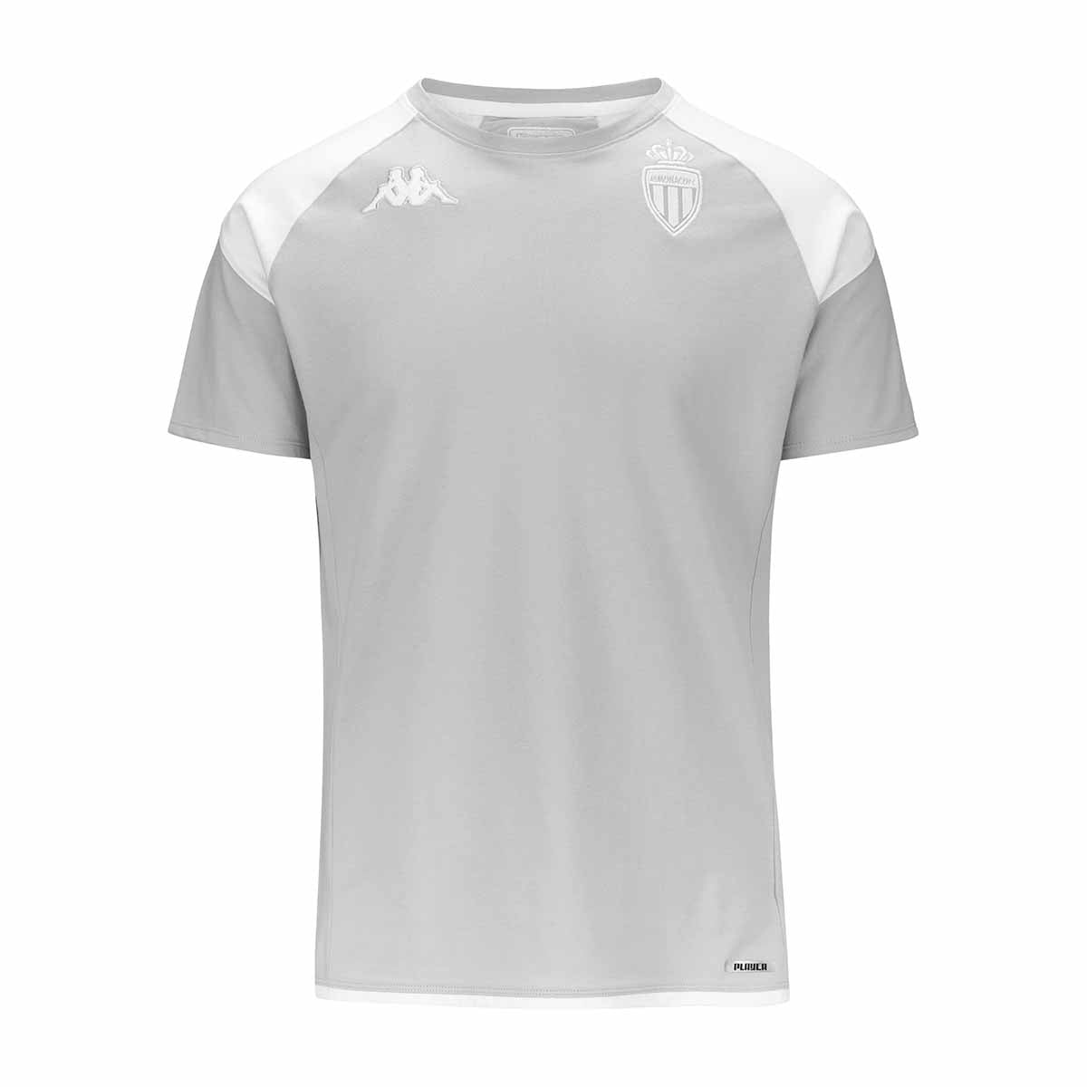 Camiseta Ayba 7 AS Monaco 23/24 Gris Hombre